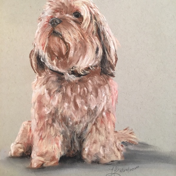 🎉 🎉 HP 🎉 🎉 Custom Commissioned Pet Portraits w/ certificate of authenticity - Picture 7 of 9